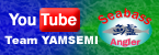 Team YAMASEMI動画